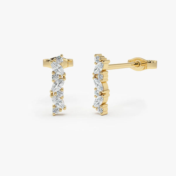 Piailvia 0.5 Carat Moissanite Earrings