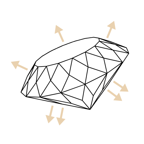 Cut image 1
